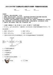 2023-2024学年广东省佛山市乐从镇化学九年级第一学期期末综合测试试题含答案