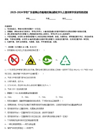 2023-2024学年广东省佛山市南海区狮山镇化学九上期末教学质量检测试题含答案