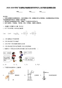 2023-2024学年广东省佛山市南海区新芳华学校九上化学期末监测模拟试题含答案