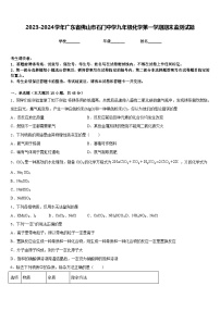 2023-2024学年广东省佛山市石门中学九年级化学第一学期期末监测试题含答案