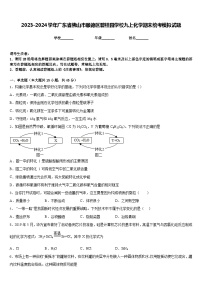 2023-2024学年广东省佛山市顺德区碧桂园学校九上化学期末统考模拟试题含答案