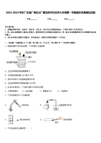 2023-2024学年广东省广州白云广雅实验学校化学九年级第一学期期末经典模拟试题含答案