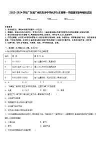 2023-2024学年广东省广州市东环中学化学九年级第一学期期末联考模拟试题含答案