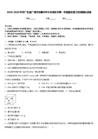 2023-2024学年广东省广州市东圃中学九年级化学第一学期期末复习检测模拟试题含答案