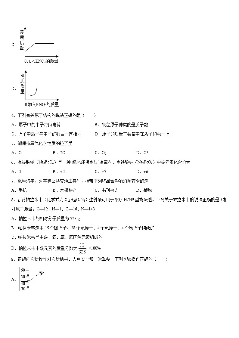 2023-2024学年广东省广州市广大附中化学九年级第一学期期末监测模拟试题含答案第2页