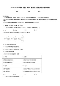 2023-2024学年广东省广州市广雅中学九上化学期末联考试题含答案