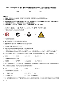 2023-2024学年广东省广州市天河外国语学校化学九上期末综合测试模拟试题含答案