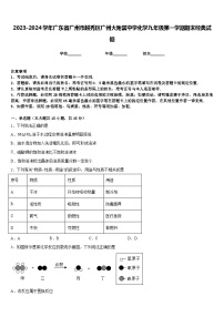 2023-2024学年广东省广州市越秀区广州大附属中学化学九年级第一学期期末经典试题含答案