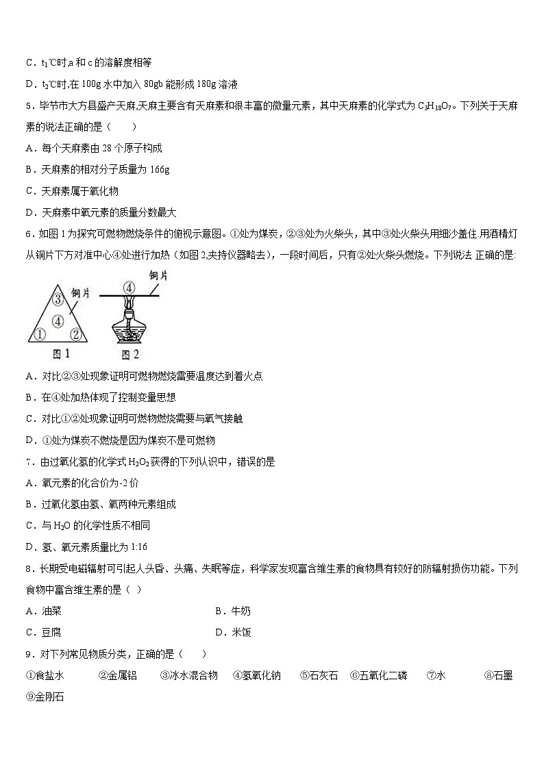 2023-2024学年广东省广州外国语大附属中学九年级化学第一学期期末达标检测试题含答案02