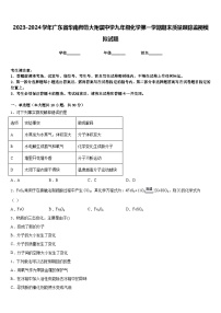 2023-2024学年广东省华南师范大附属中学九年级化学第一学期期末质量跟踪监视模拟试题含答案