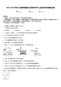 2023-2024学年广东省惠州惠城区五校联考化学九上期末质量检测模拟试题含答案