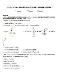 2023-2024学年广东省惠州市名校化学九年级第一学期期末复习检测试题含答案