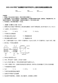 2023-2024学年广东省惠阳市马安中学化学九上期末质量跟踪监视模拟试题含答案