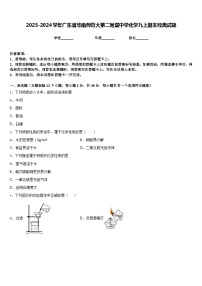 2023-2024学年广东省华南师范大第二附属中学化学九上期末经典试题含答案