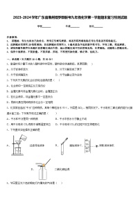 2023-2024学年广东省惠州博罗县联考九年级化学第一学期期末复习检测试题含答案