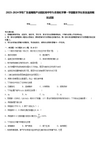 2023-2024学年广东省揭阳产业园实验中学九年级化学第一学期期末学业质量监测模拟试题含答案