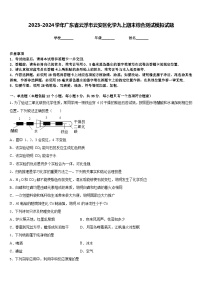 2023-2024学年广东省云浮市云安区化学九上期末综合测试模拟试题含答案