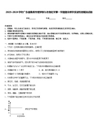 2023-2024学年广东省惠州市博罗县九年级化学第一学期期末教学质量检测模拟试题含答案