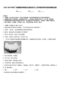 2023-2024学年广东省揭阳市榕城区空港经济区九上化学期末教学质量检测模拟试题含答案