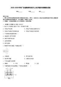 2023-2024学年广东省惠州市名校九上化学期末经典模拟试题含答案