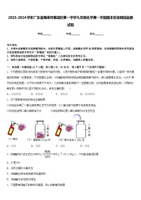 2023-2024学年广东省惠州市惠城区第一中学九年级化学第一学期期末质量跟踪监视试题含答案