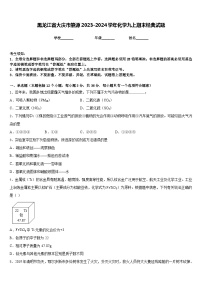 黑龙江省大庆市肇源2023-2024学年化学九上期末经典试题含答案