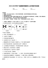 2023-2024学年广东省揭阳市揭西县九上化学期末考试试题含答案