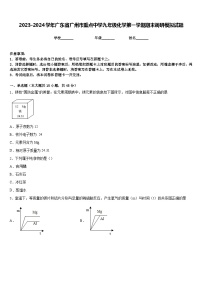 2023-2024学年广东省广州市重点中学九年级化学第一学期期末调研模拟试题含答案