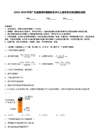 2023-2024学年广东省惠州市惠阳区化学九上期末综合测试模拟试题含答案