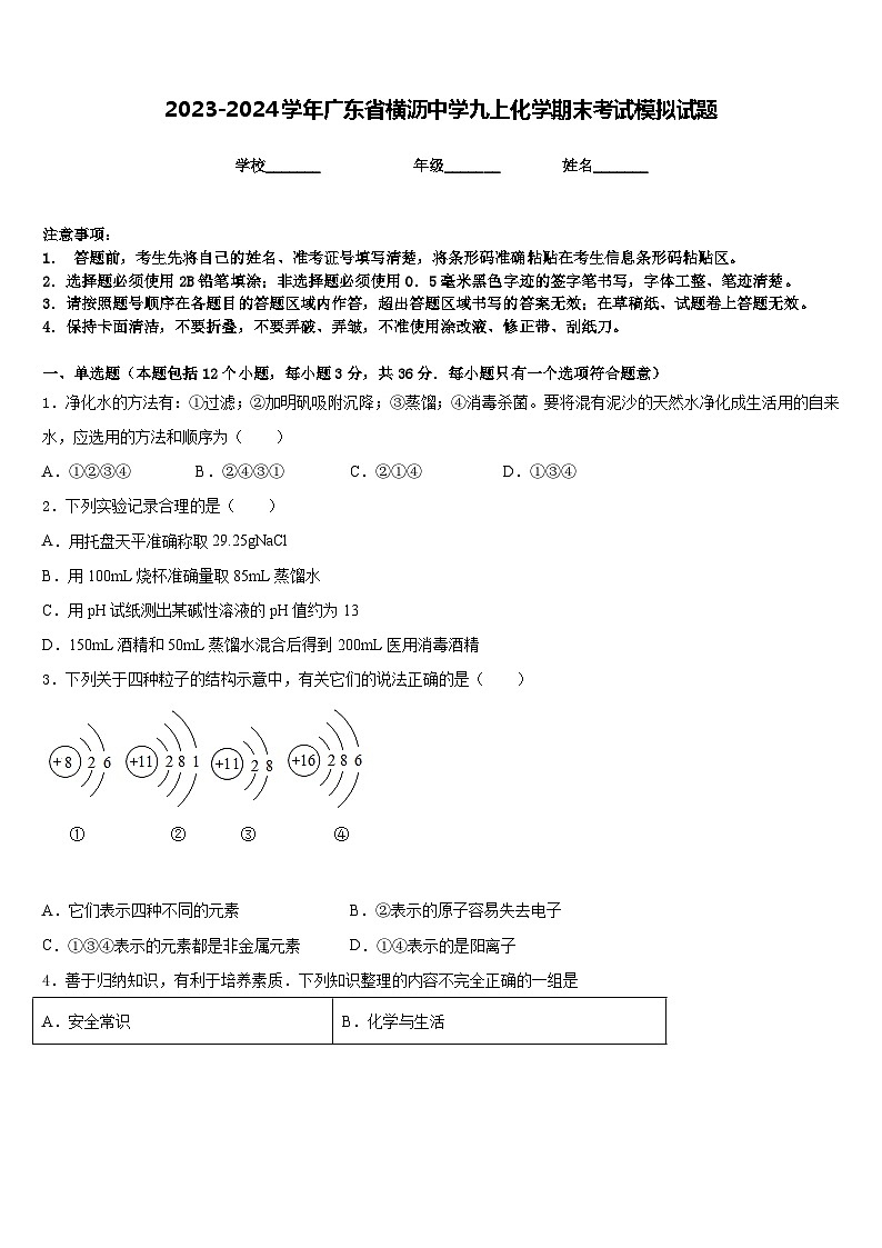 2023-2024学年广东省横沥中学九上化学期末考试模拟试题含答案第1页