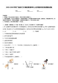 2023-2024学年广东省江门江海区四校联考九上化学期末综合测试模拟试题含答案