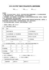 2023-2024学年广东省江门市台山市化学九上期末检测试题含答案