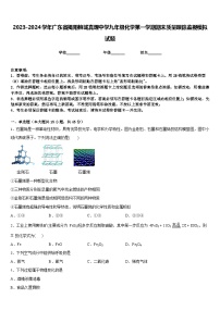 2023-2024学年广东省揭阳榕城真理中学九年级化学第一学期期末质量跟踪监视模拟试题含答案