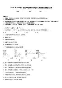 2023-2024学年广东省揭阳真理中学化学九上期末监测模拟试题含答案