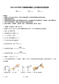 2023-2024学年广东省梅州市梅县九上化学期末综合测试试题含答案