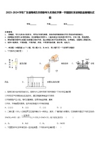 2023-2024学年广东省梅州五华县联考九年级化学第一学期期末质量跟踪监视模拟试题含答案