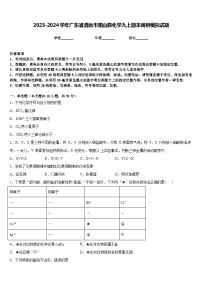 2023-2024学年广东省清远市阳山县化学九上期末调研模拟试题含答案