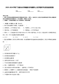 2023-2024学年广东省汕头市潮南区司马浦镇九上化学期末学业质量监测试题含答案