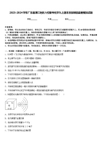 2023-2024学年广东省湛江地区六校联考化学九上期末质量跟踪监视模拟试题含答案