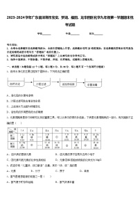 2023-2024学年广东省深圳市宝安、罗湖、福田、龙华四区化学九年级第一学期期末统考试题含答案