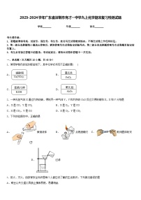 2023-2024学年广东省深圳市育才一中学九上化学期末复习检测试题含答案