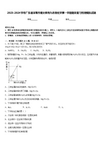 2023-2024学年广东省深圳市星火教育九年级化学第一学期期末复习检测模拟试题含答案