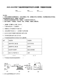 2023-2024学年广东省深圳市桃源中学化学九年级第一学期期末检测试题含答案