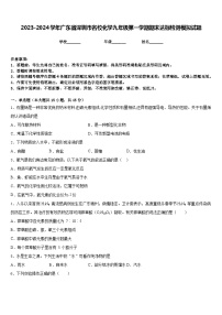 2023-2024学年广东省深圳市名校化学九年级第一学期期末达标检测模拟试题含答案