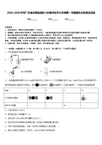 2023-2024学年广东省深圳盐田区六校联考化学九年级第一学期期末达标测试试题含答案