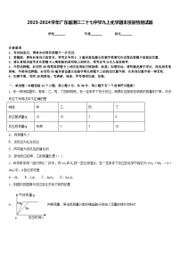 2023-2024学年广东省湛江二十七中学九上化学期末质量检测试题含答案