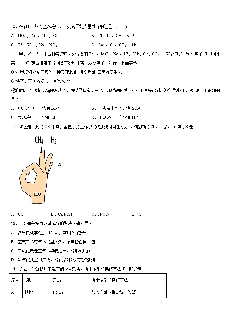 2023-2024学年广东省深圳市育才一中学初化学九年级第一学期期末复习检测试题含答案第3页