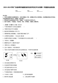 2023-2024学年广东省深圳市福田区耀华实验学校化学九年级第一学期期末监测试题含答案