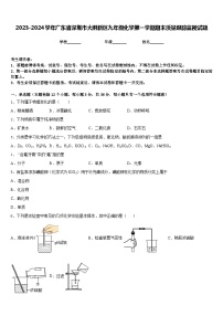 2023-2024学年广东省深圳市大鹏新区九年级化学第一学期期末质量跟踪监视试题含答案