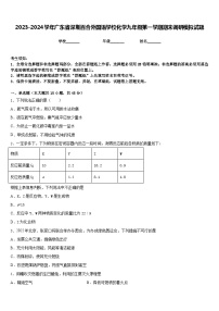 2023-2024学年广东省深圳百合外国语学校化学九年级第一学期期末调研模拟试题含答案